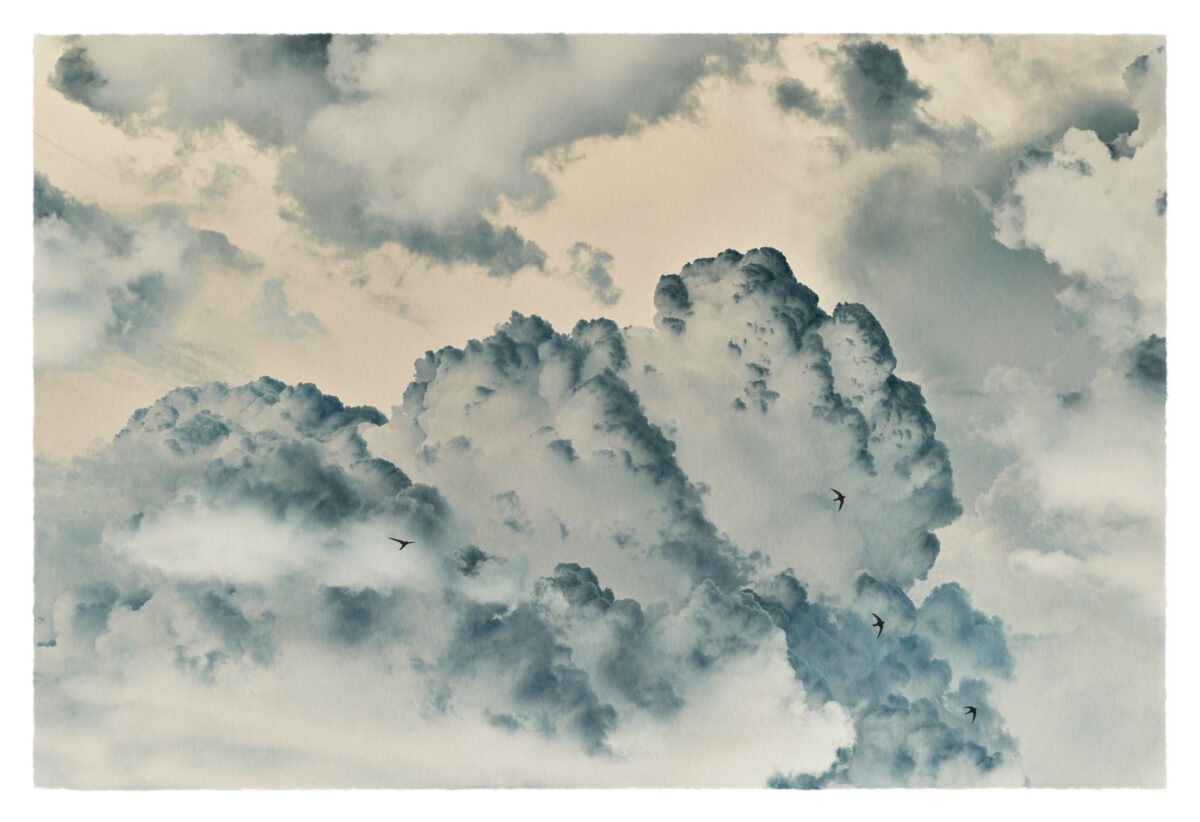 Verfremdete Wolkenlandschaft mit kleinen Vögeln von Fotograf Christian Schmidt